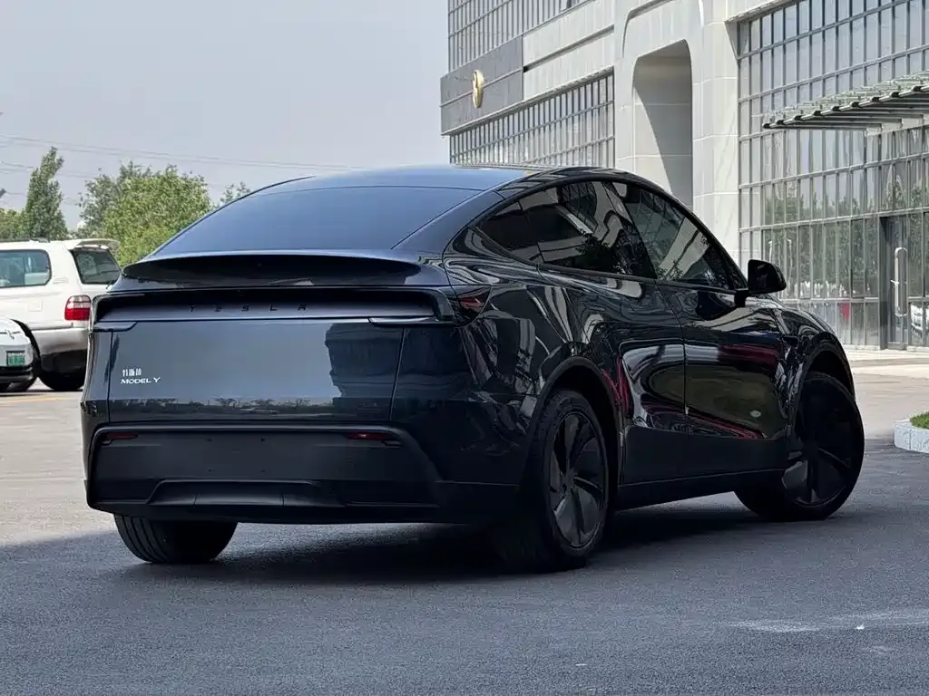 Tesla Model Y — фото 2