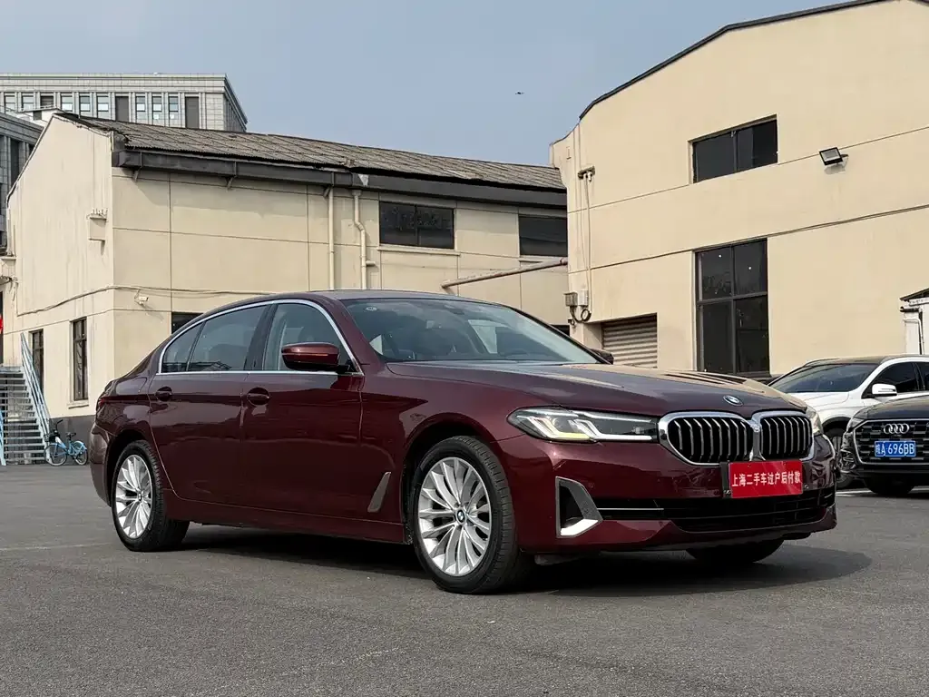 BMW 5 Series 2021 из CN, фото 2
