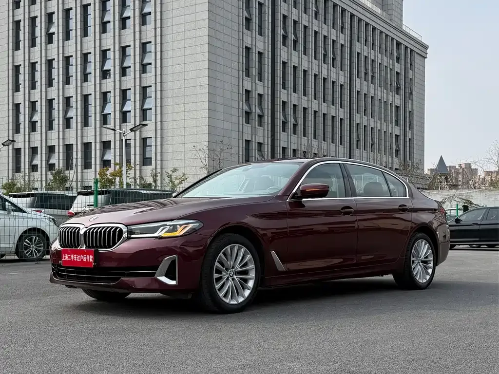 BMW 5 Series 2021 из CN, фото 10
