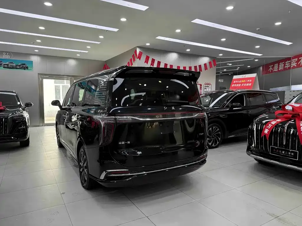 Hongqi HQ9 — фото 3