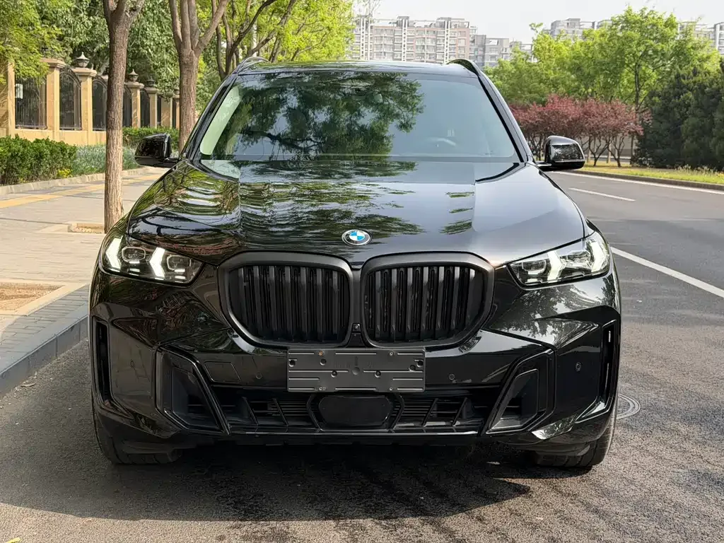 BMW X5 — фото 10