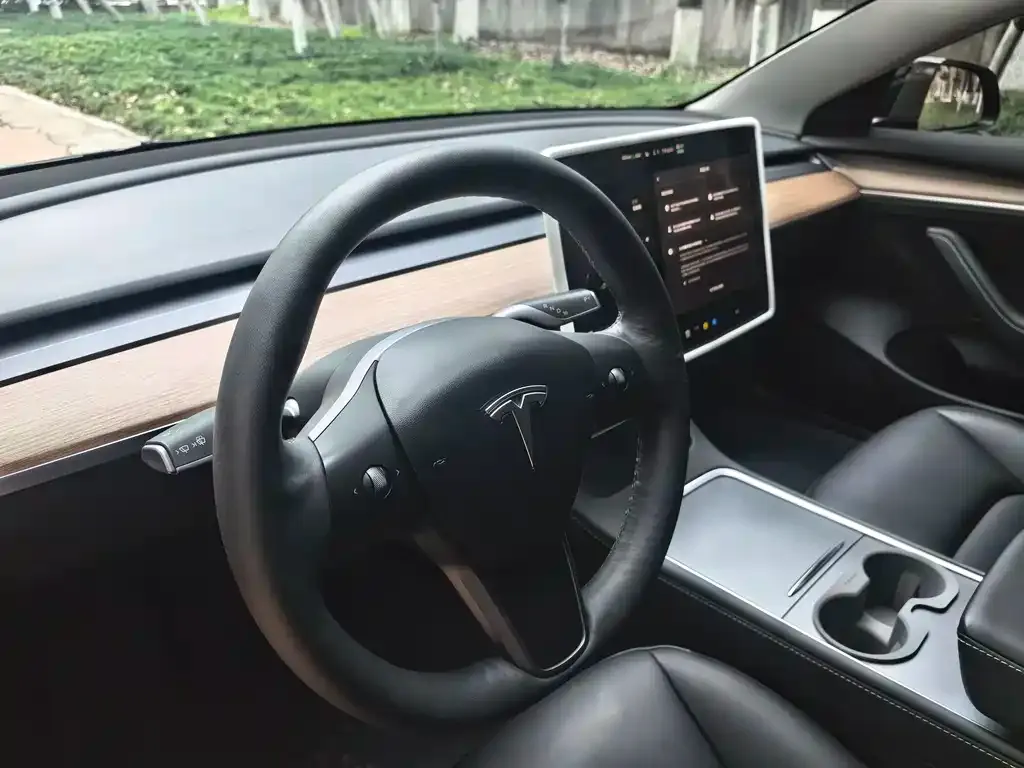 Tesla Model 3 — фото 2