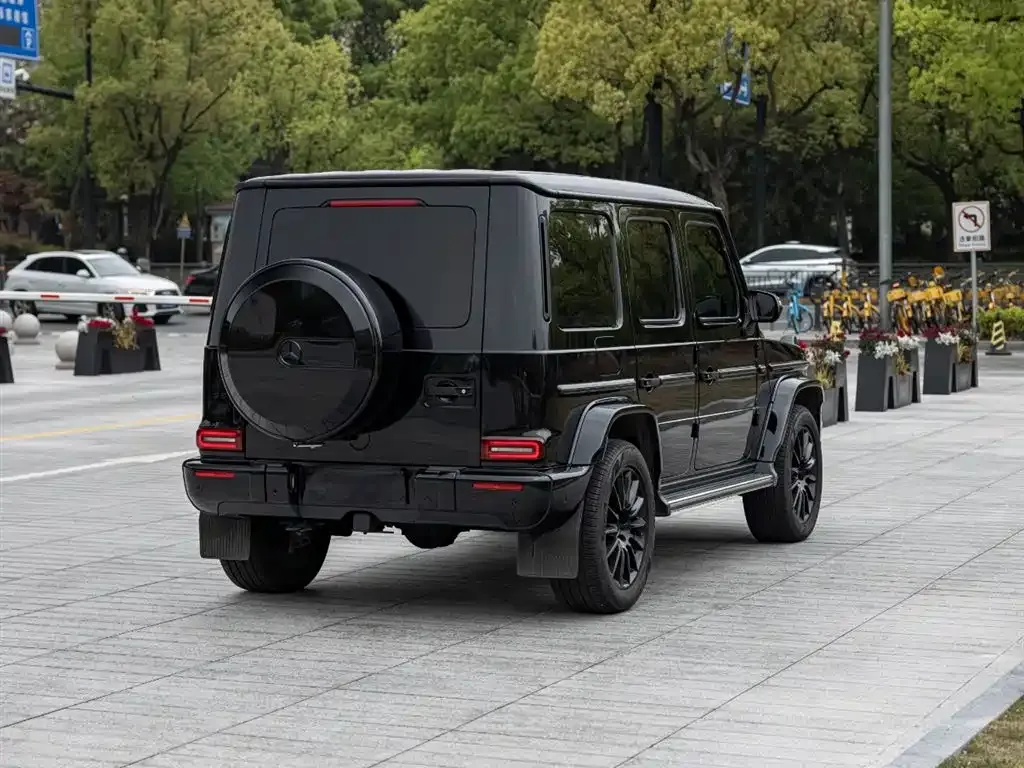 Mercedes-Benz G-Class — фото 10