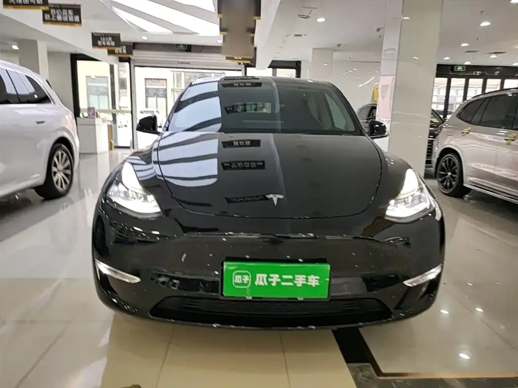 Tesla Model Y — фото 3