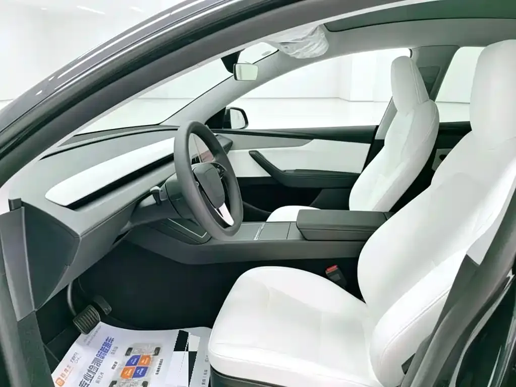 Tesla Model Y 2025 из CN, фото 7