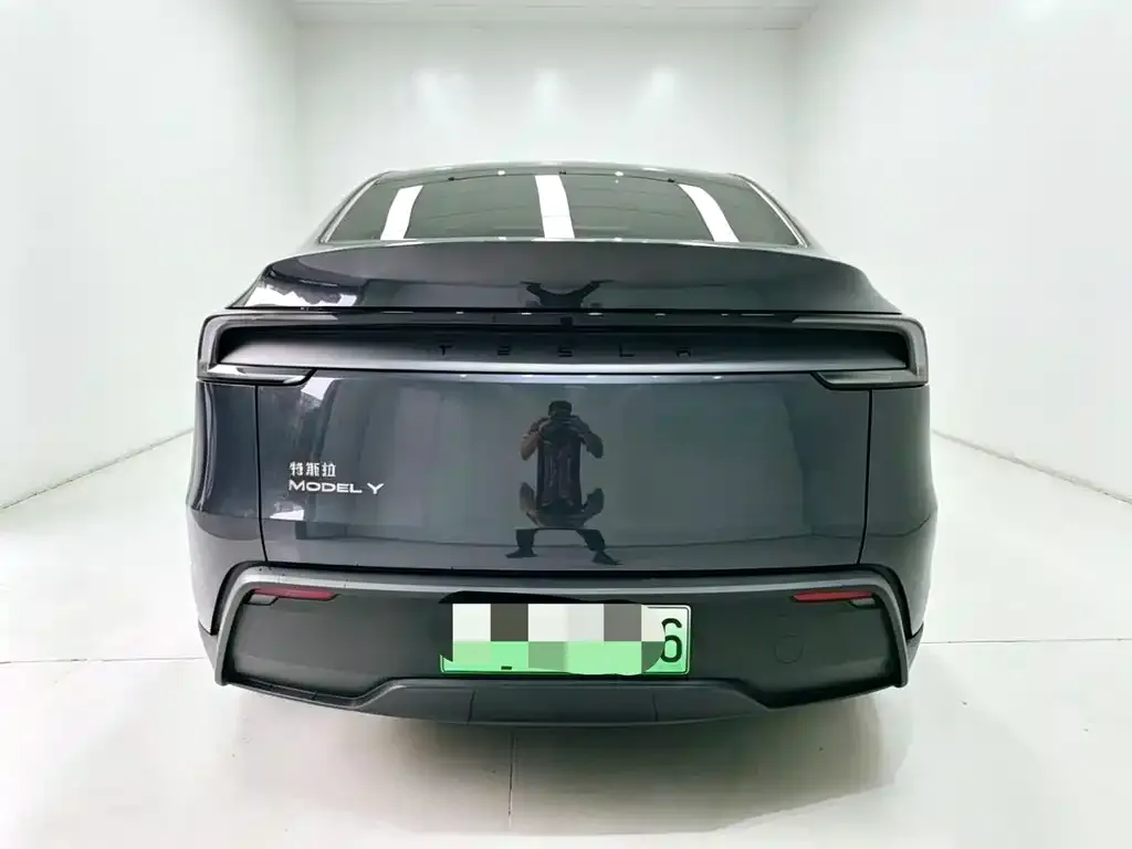 Tesla Model Y 2025 из CN, фото 4