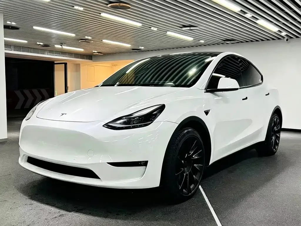 Tesla Model Y — фото 1