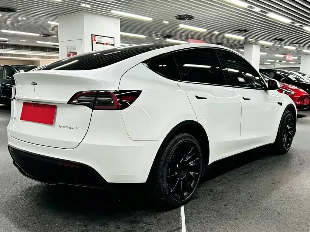 Tesla Model Y — фото 3
