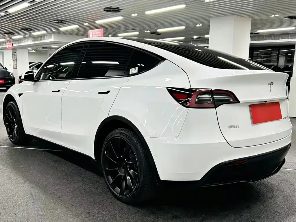 Tesla Model Y — фото 6