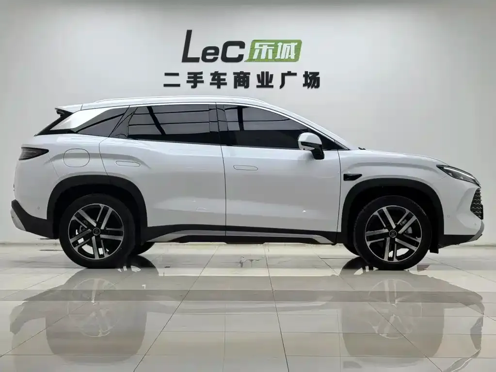 BYD L DM-i — фото 8