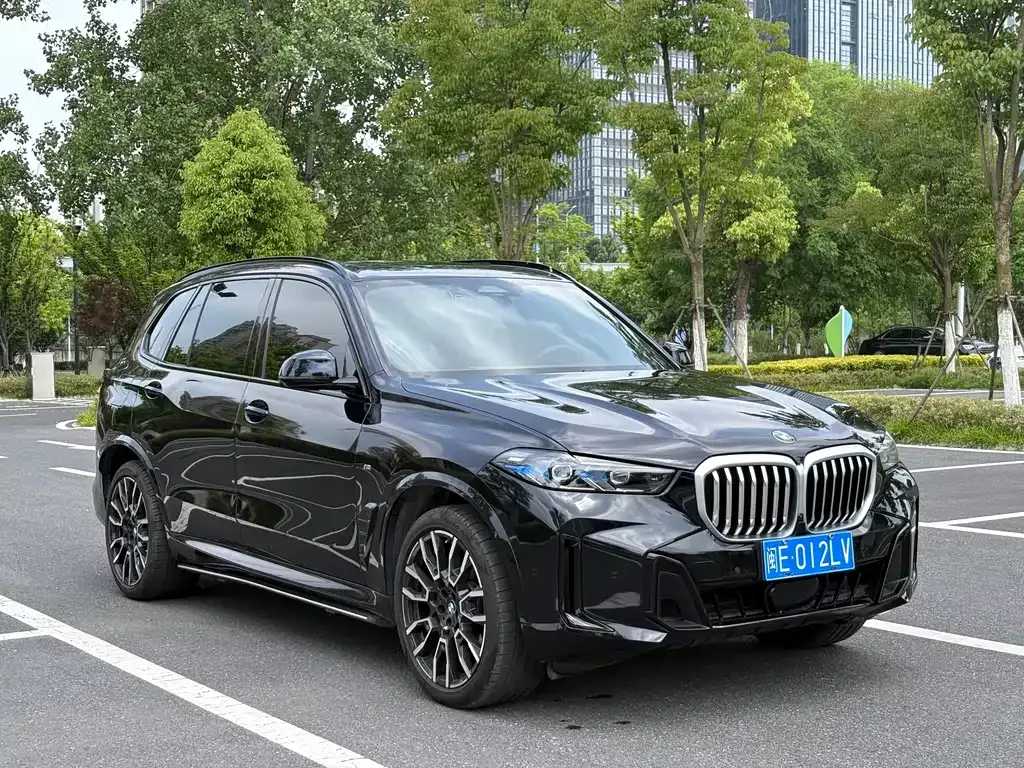 BMW X5 — фото 10