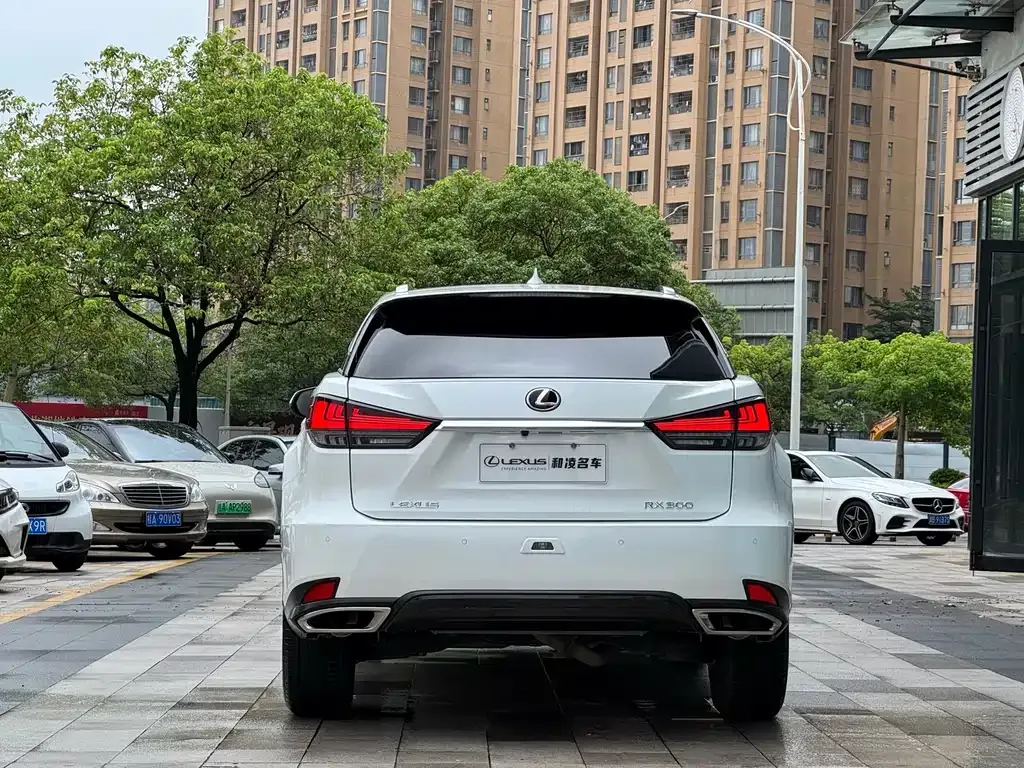 Lexus RX — фото 8