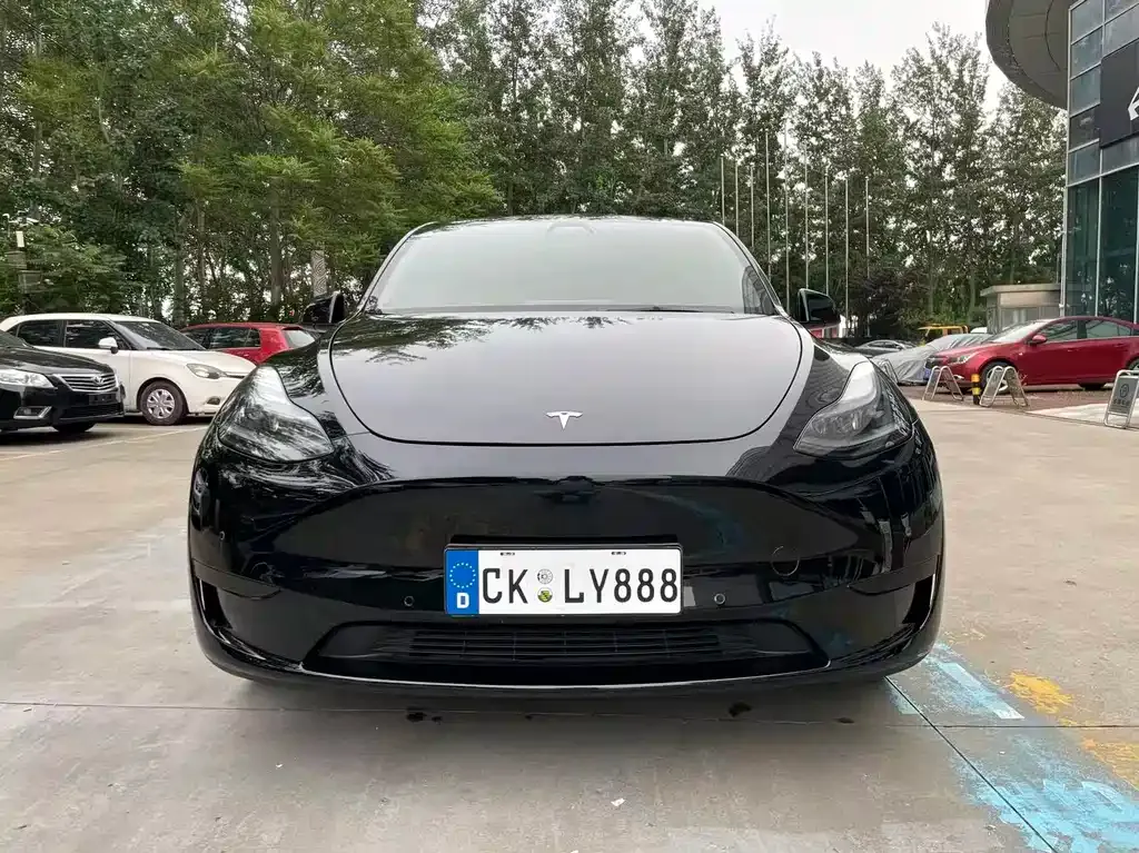 Tesla Model Y — фото 1