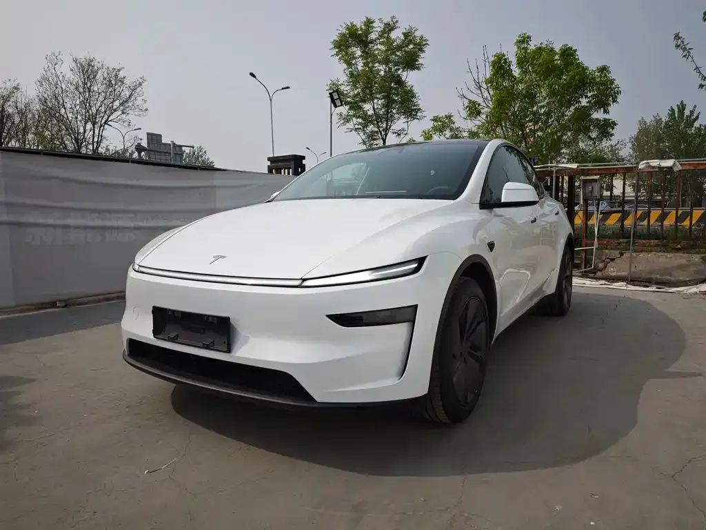 Tesla Model Y — фото 1