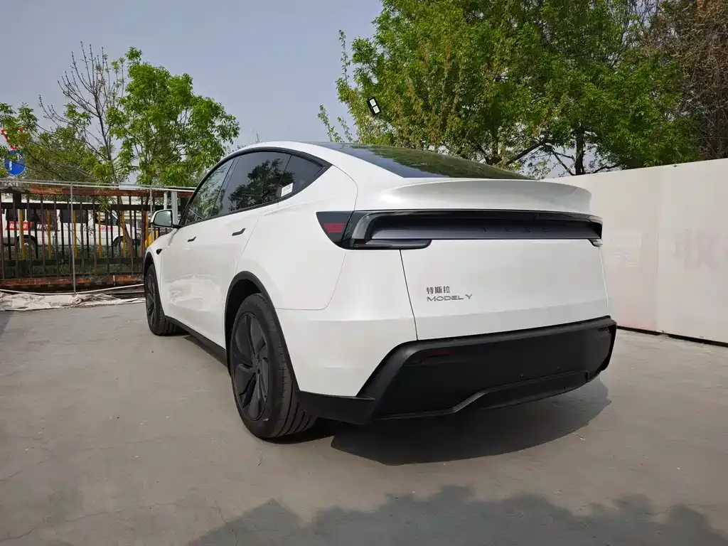 Tesla Model Y — фото 2