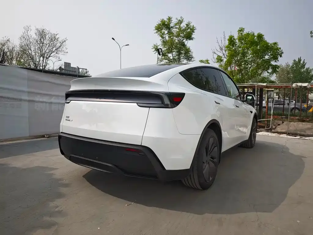 Tesla Model Y — фото 8