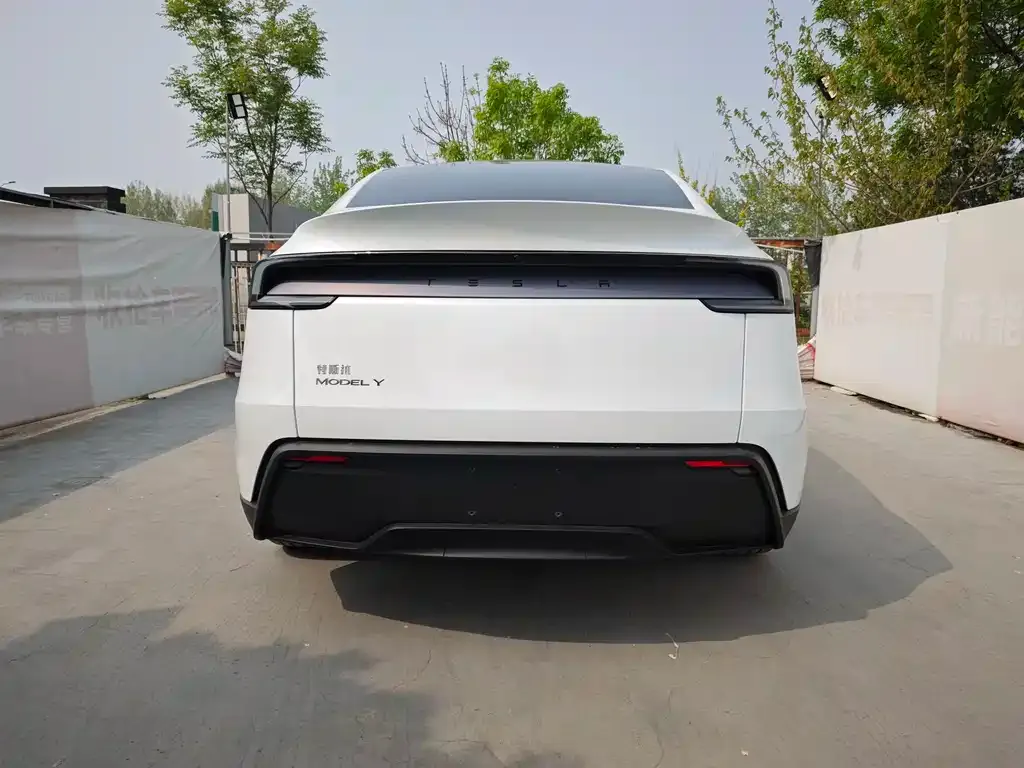 Tesla Model Y — фото 10