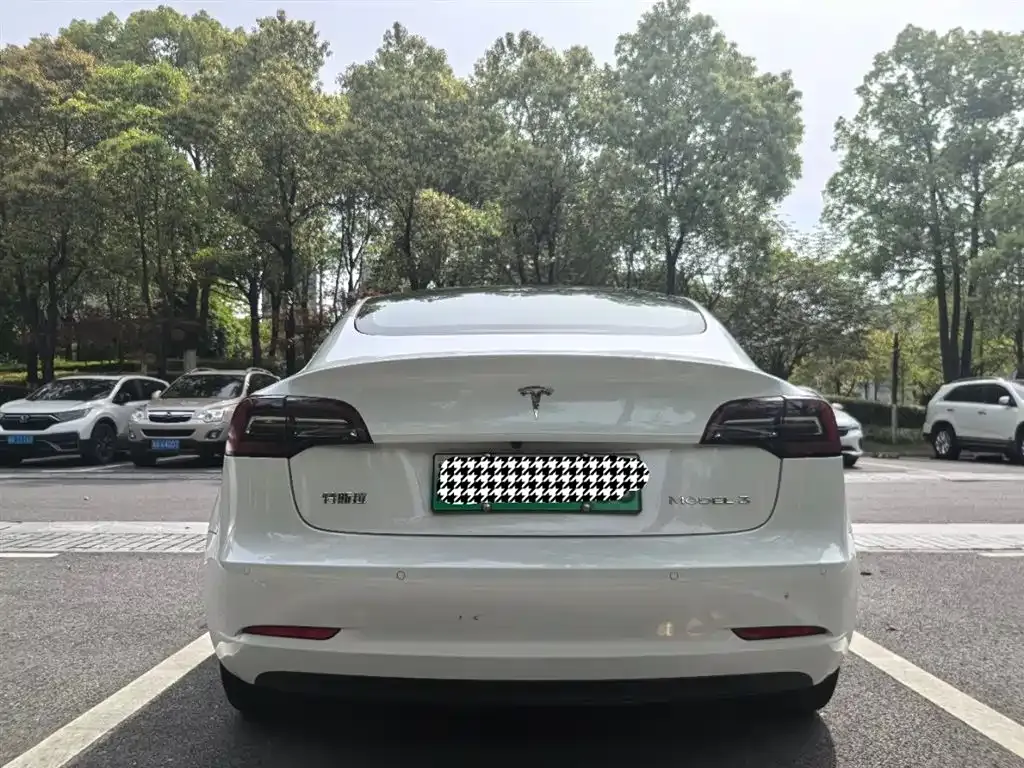 Tesla Model 3 2022 из CN, фото 9