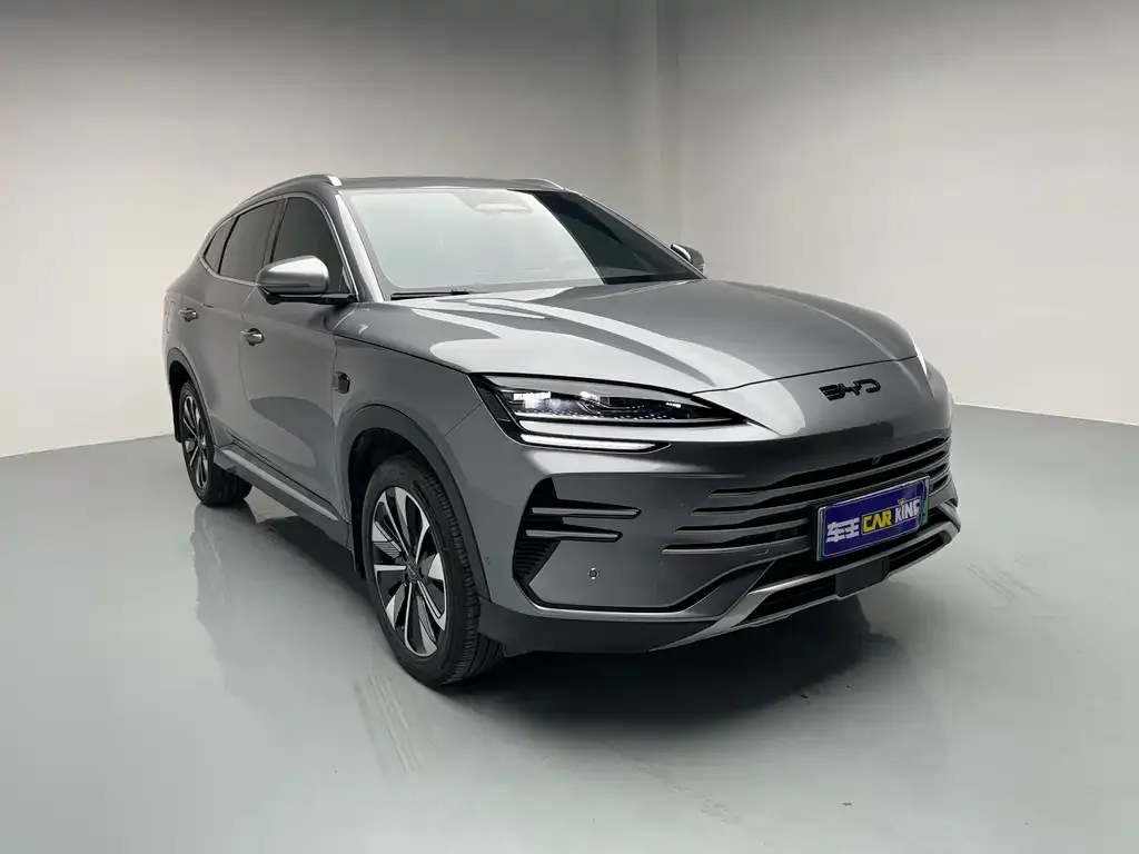 BYD PLUS New Energy — фото 8