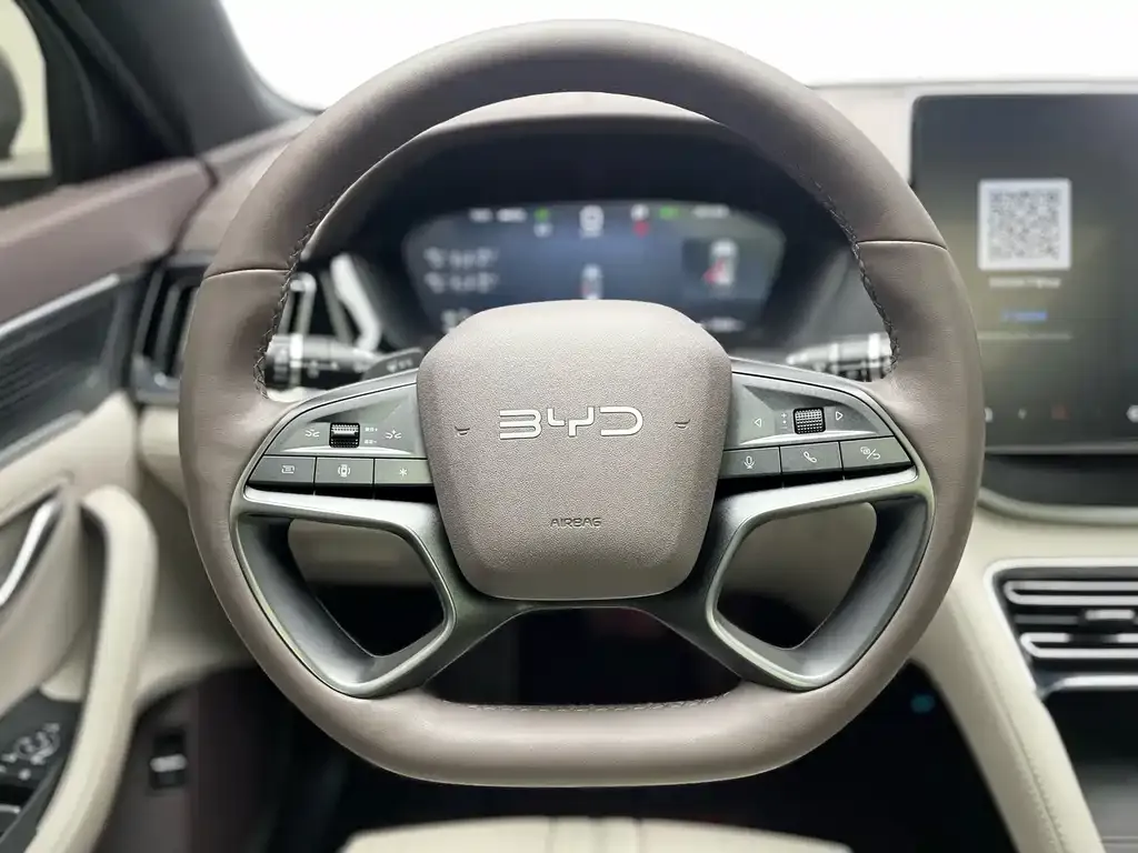 BYD PLUS New Energy — фото 7