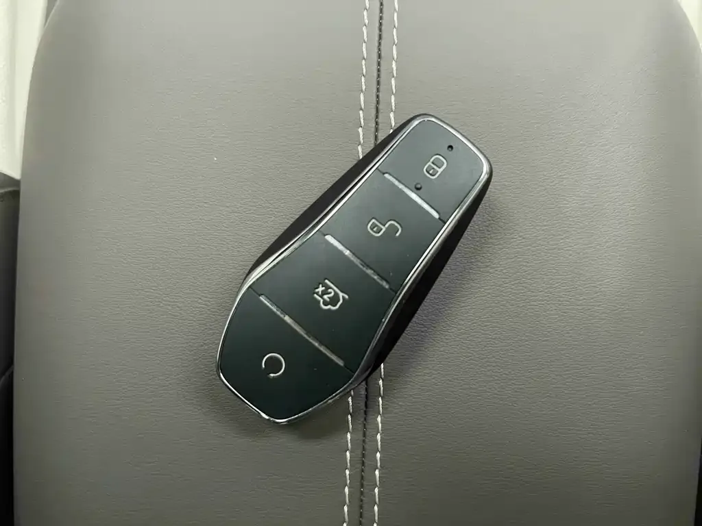 BYD PLUS New Energy — фото 9
