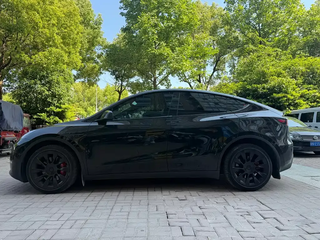 Tesla Model Y — фото 5