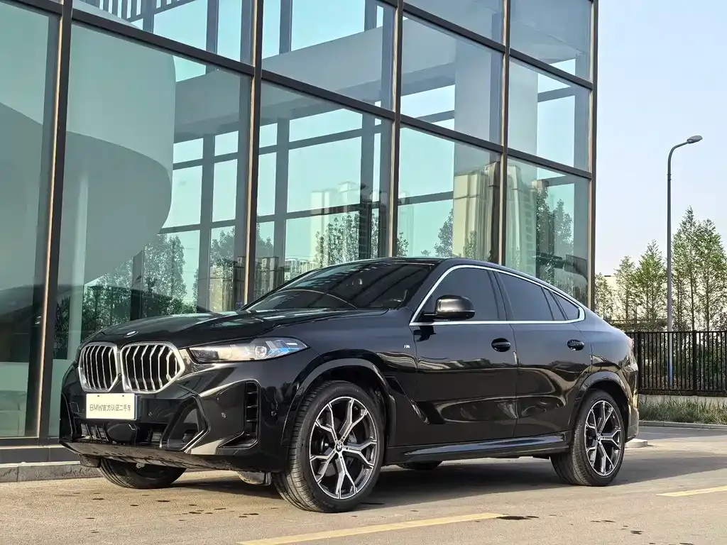 BMW X6 — фото 10