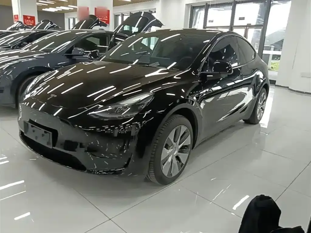 Tesla Model Y 2023 из CN, фото 1