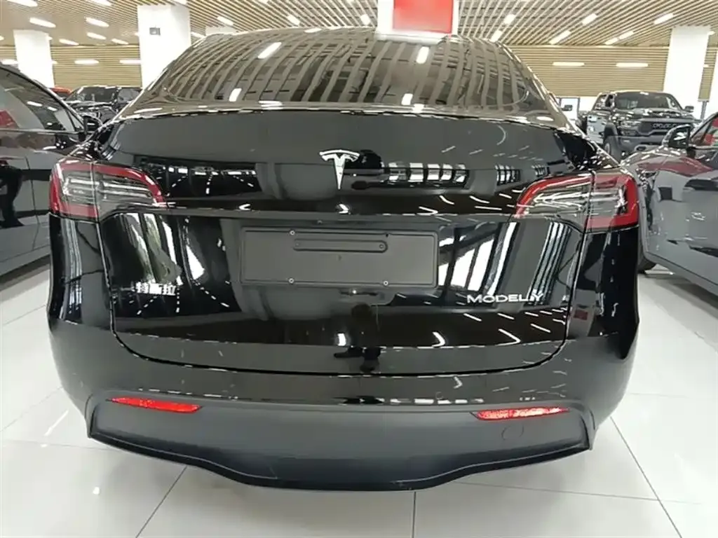 Tesla Model Y 2023 из CN, фото 4