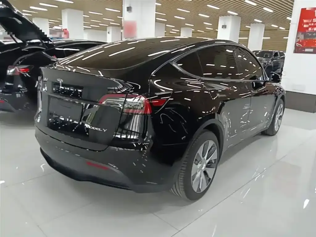 Tesla Model Y 2023 из CN, фото 2
