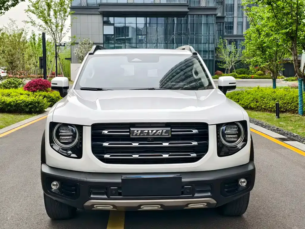 Haval Big Dog 2021 из CN, фото 6