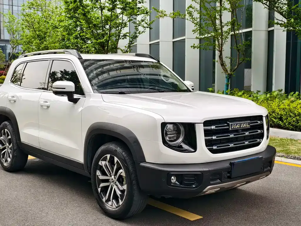 Haval Big Dog 2021 из CN, фото 7