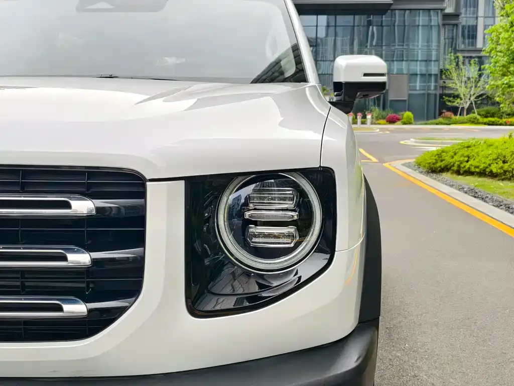 Haval Big Dog 2021 из CN, фото 9