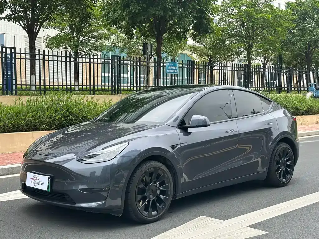 Tesla Model Y — фото 1