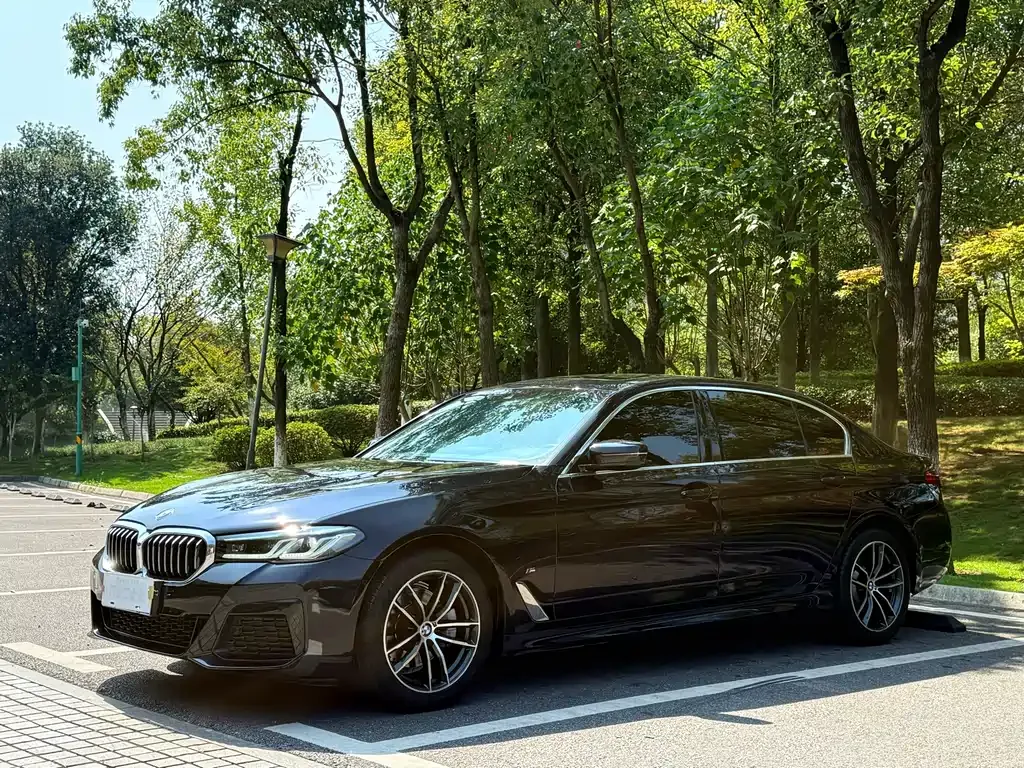 BMW 5 Series — фото 4