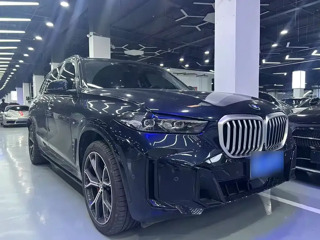 BMW X5 — фото 10