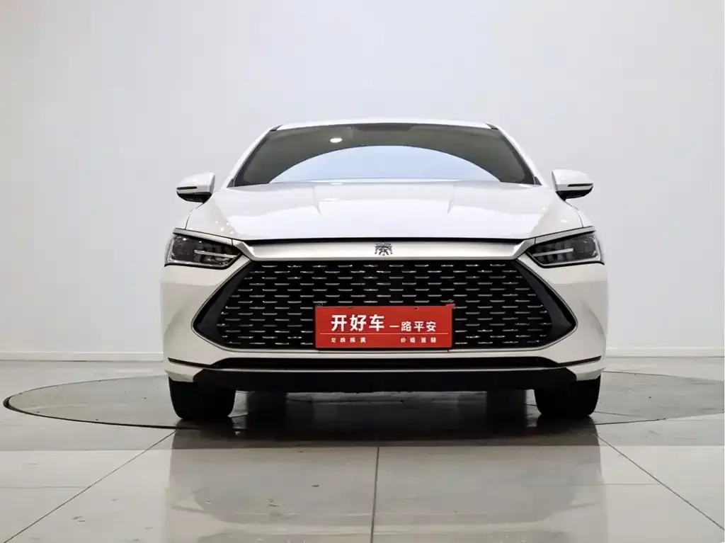 BYD Qin PLUS — фото 1