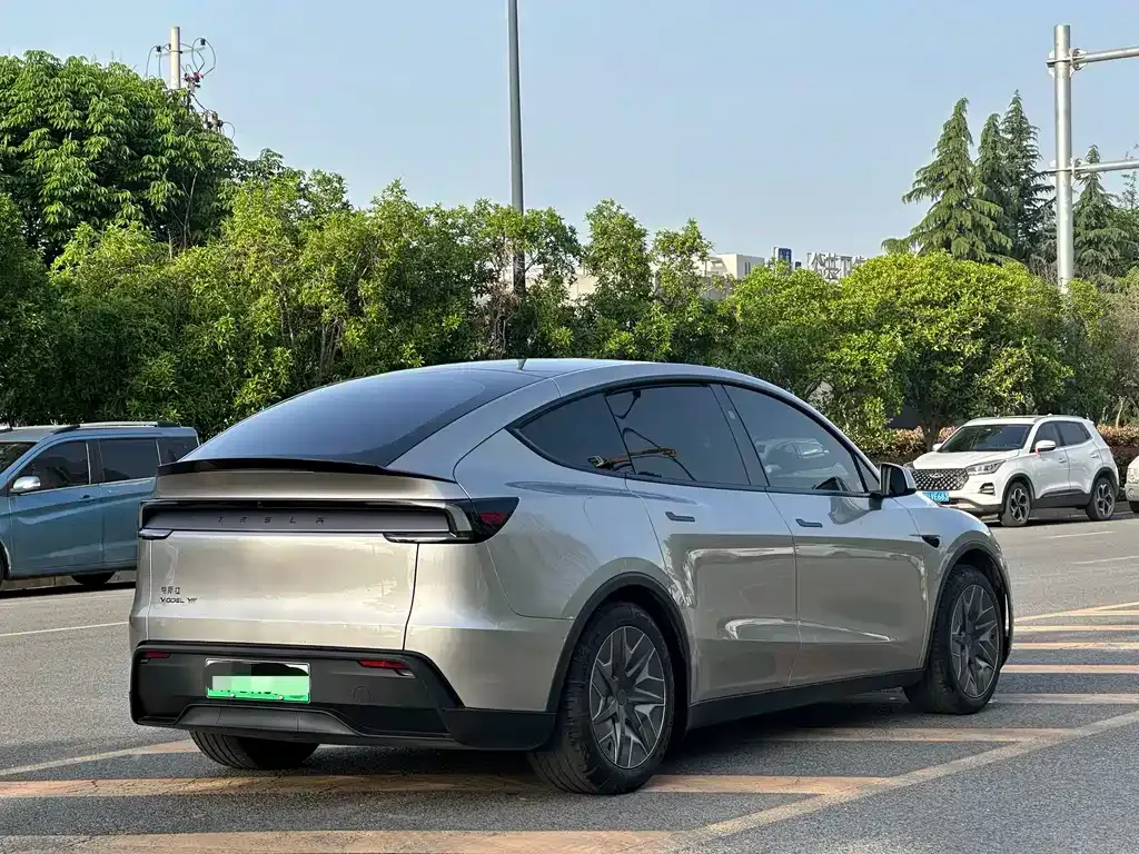 Tesla Model Y L 2025 из CN, фото 8