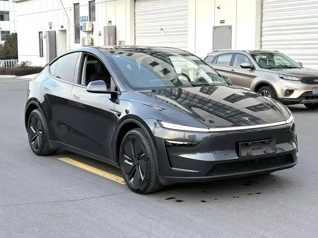 Tesla Model Y — фото 6