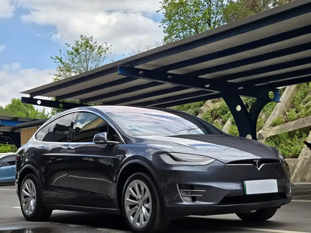 Tesla Model X 2021 из CN, фото 10