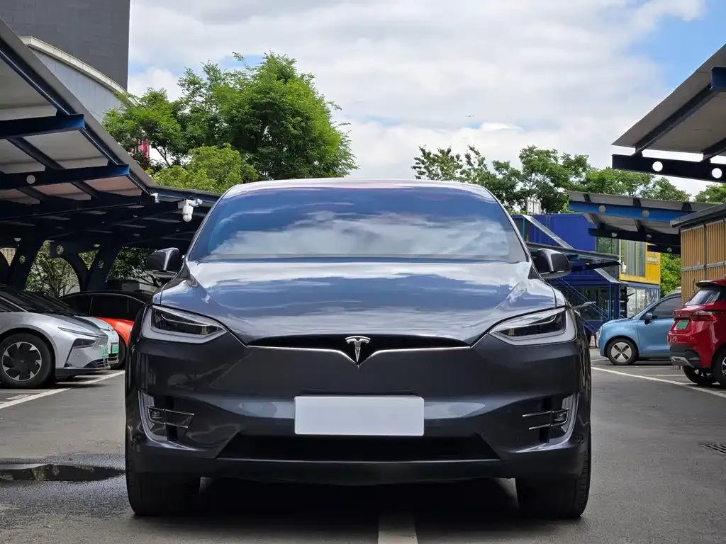 Tesla Model X 2021 из CN, фото 6