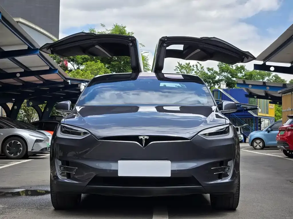 Tesla Model X 2021 из CN, фото 3