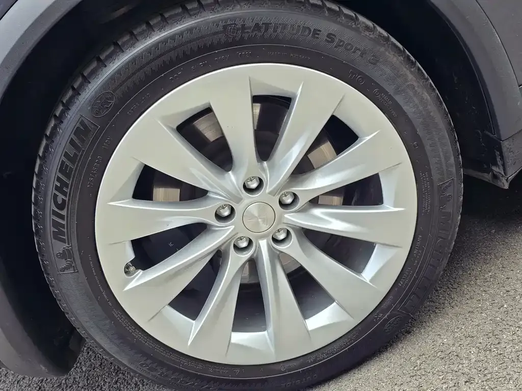 Tesla Model X 2021 из CN, фото 7