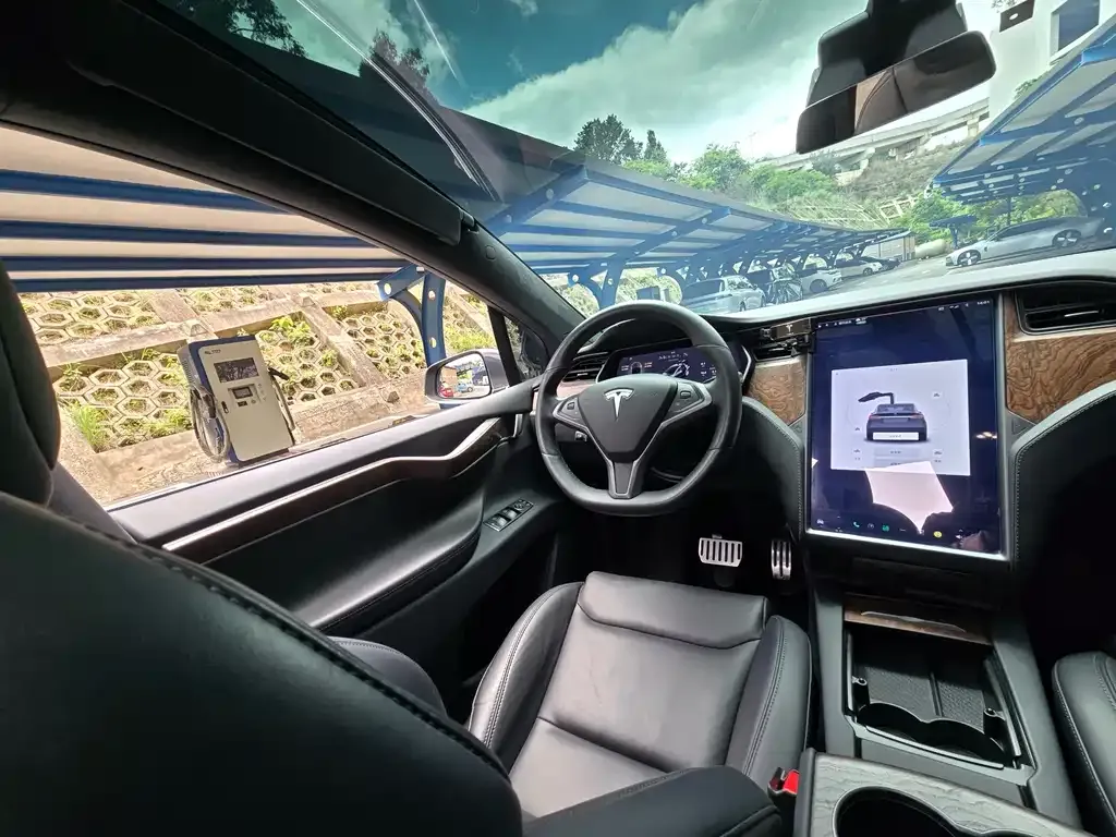 Tesla Model X 2021 из CN, фото 9