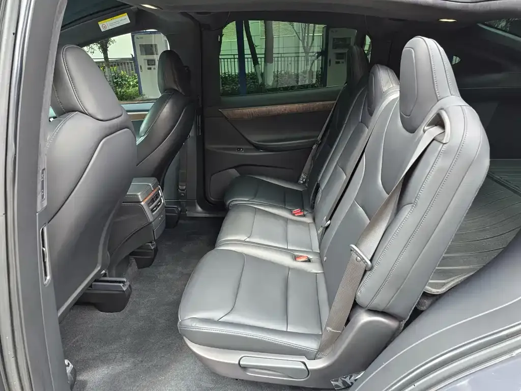 Tesla Model X 2021 из CN, фото 4