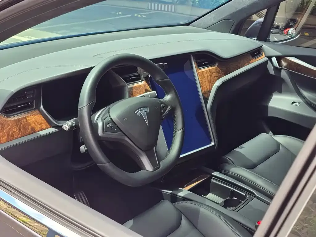 Tesla Model X 2021 из CN, фото 5