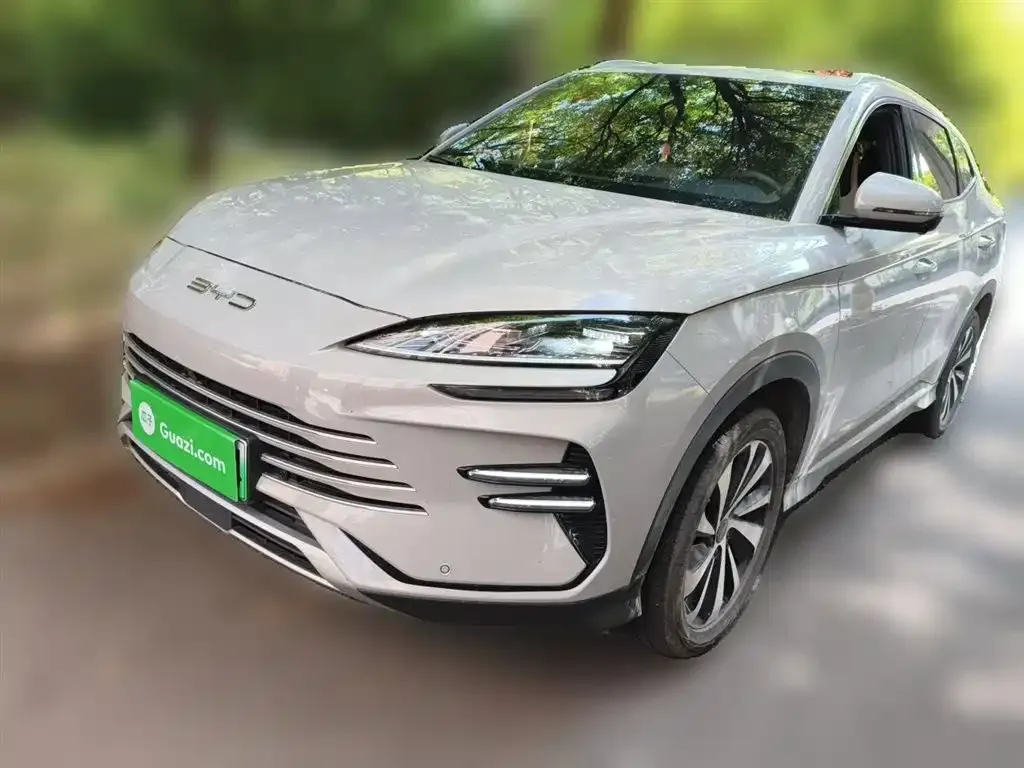 BYD PLUS New Energy — фото 1