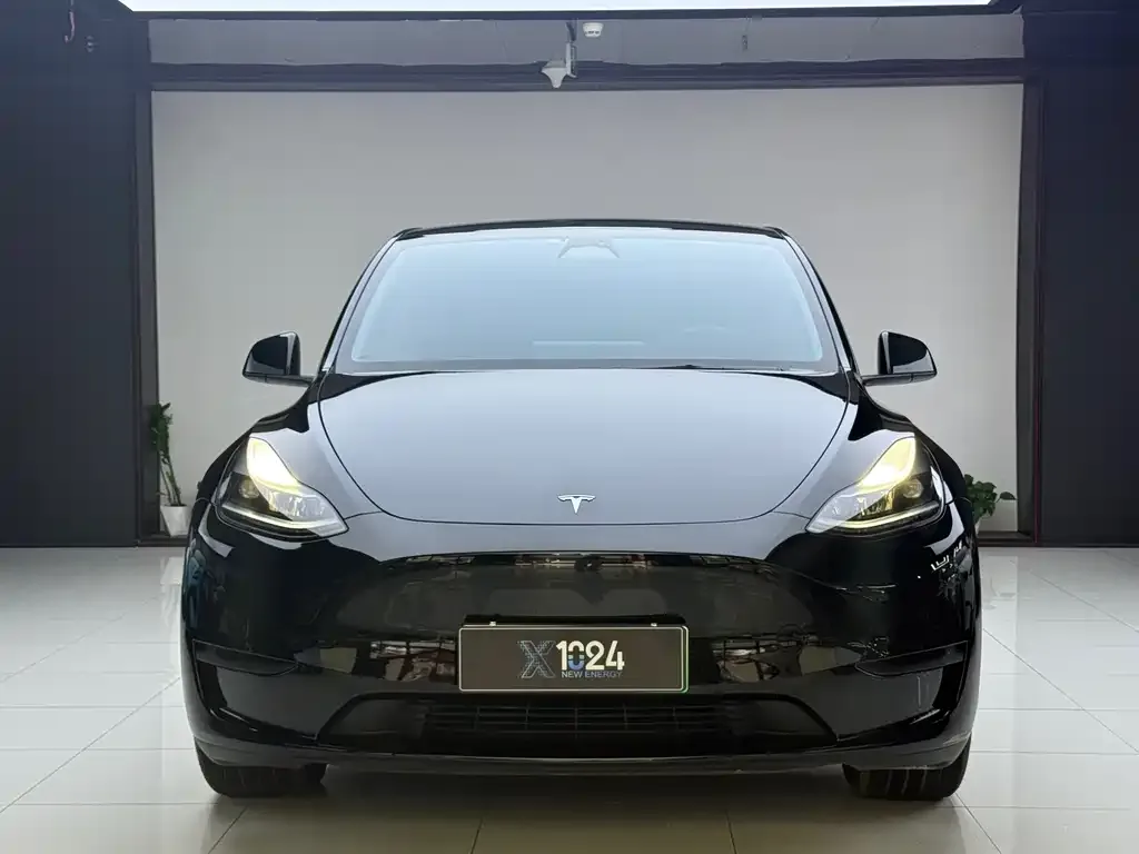 Tesla Model Y — фото 2