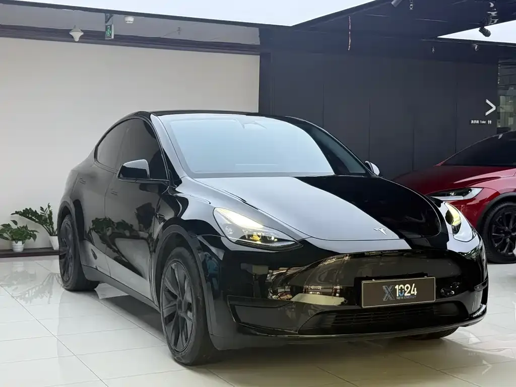 Tesla Model Y — фото 4