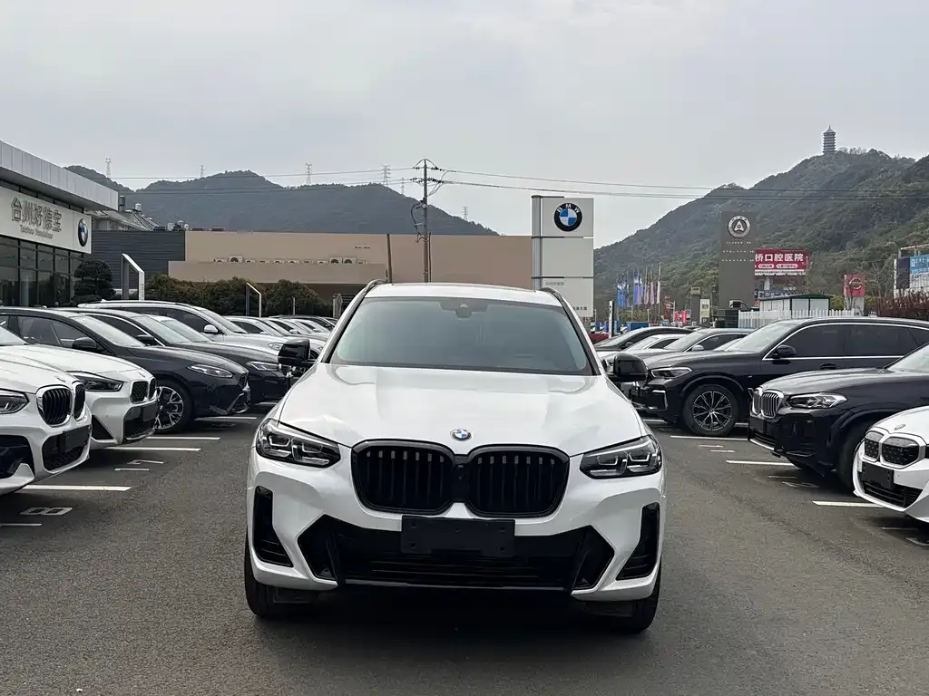 BMW X3 — фото 2